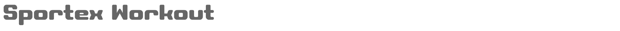 Sportex Workout Sportex Workout.ttf font preview
